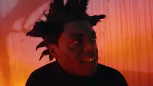 Kodak Black - Vulnerable (Free Cool) (Video)