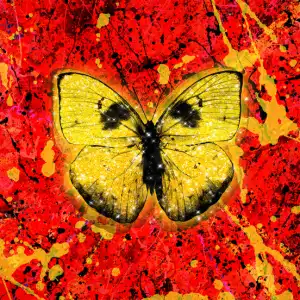 Ed Sheeran – Shivers (Instrumental)