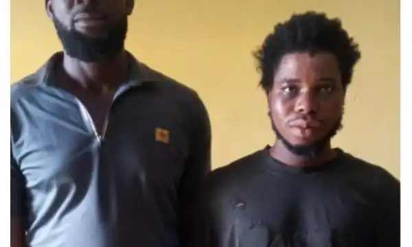 Troops rescue two kidnapped farm workers, neutralise suspect in Lagos