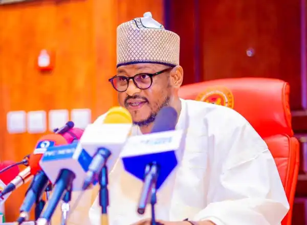 Community, bandit leaders sign peace deal inside Katsina Wurma forest