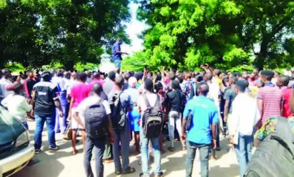 313 illegal varsities, polys uncovered in eight years