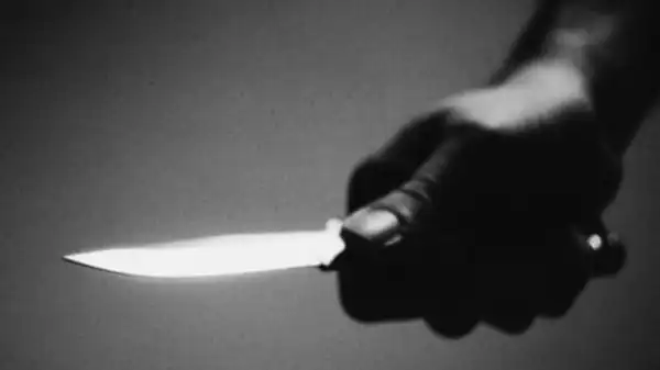 Man stabs brother to death over N200 meat in Adamawa