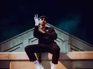 Felo Le Tee & Harry Style – As it was (Tsa Felo’s Remix)