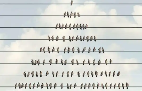 Vegas Mother-Son Duo Alleged of a $12 Million Crypto Ponzi Scheme