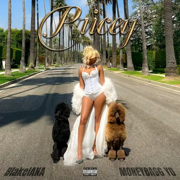 BlakeIANA – Pricey Ft. Moneybagg Yo