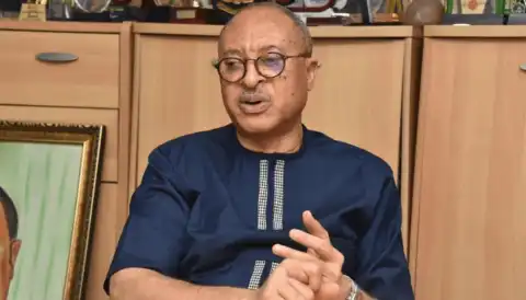 2027: ‘Nigerians may take over their country’ – Prof Utomi warns INEC over restrictions at polling units