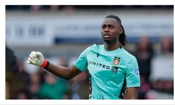 Ballon d’Or 2026: Nigeria’s George Ilenikhena, Arthur Okonkwo pick winners