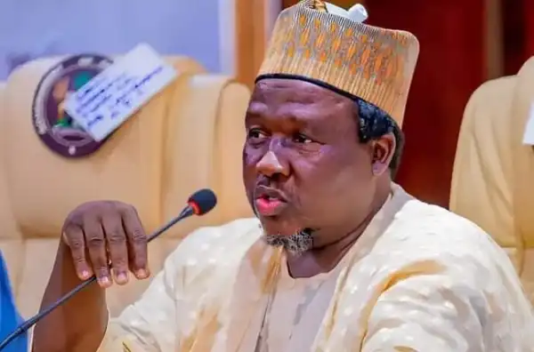 Over 500 Whatsapp, Text Messages Received Daily Since Tinubu Picked Me - Masari