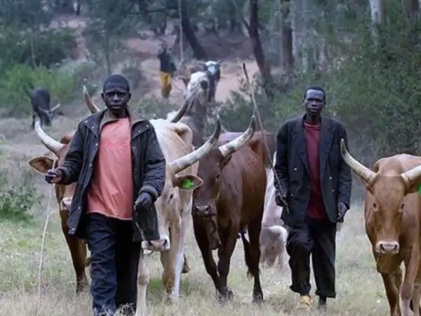 Group raises the alarm over influx of strangers into Edo