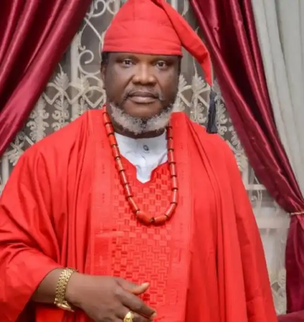 Filmmaker Ugezu Slams Nigerian Chefs Conducting Fresh Cookathon While Hilda’s Own Is Yet To Be Ratified by Guinness World Records