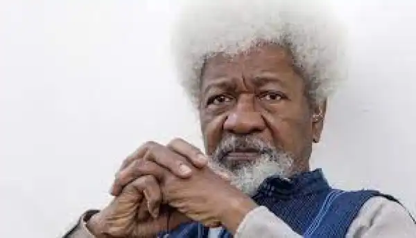 IPOB: Miyetti Allah Should Be Proscribed As A Terrorist Organization – Soyinka