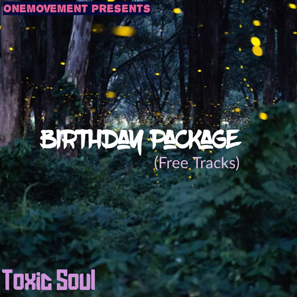 Toxic Soul – Iparty ka Toxic ft T & R MusiQ