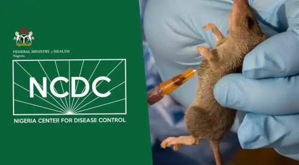 Lassa fever kills 176 in Nigeria – NCDC
