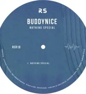 Buddynice – Nothing Special