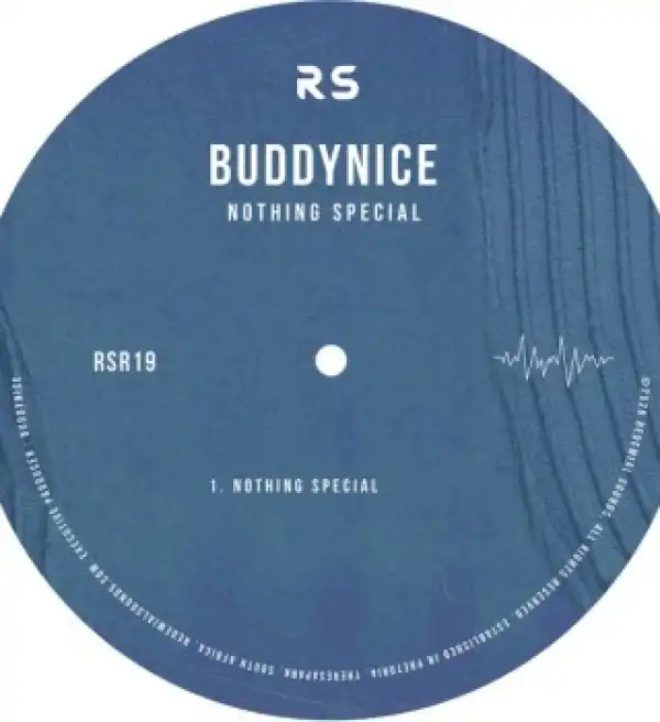 Buddynice – Nothing Special