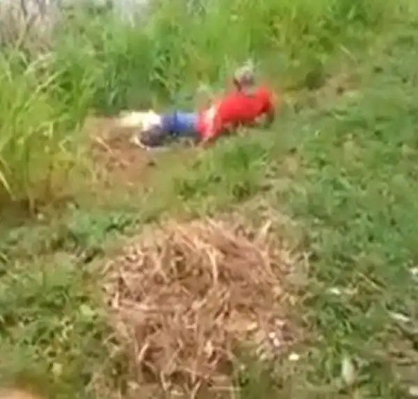 Crocodile Attacks Man, Drags Him Into Lagoon After He Threw Stones At It (Photos)