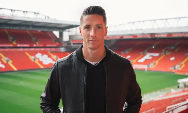 Fernando Torres Will Join The Atlético Madrid Youth Team