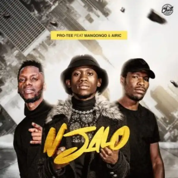 Pro Tee – Njalo ft. Manqonqo & Airic