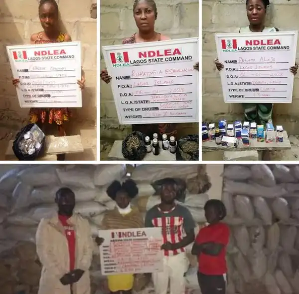 Fifteen Suspects Arrested As NDLEA Seizes 3,975kgs Skunk, 58,200 Tramadol Pills In Raids