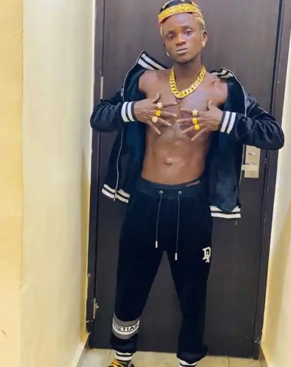 My Ex Arrested Me When I Was Broke But Now Begging Me With My Child – Portable Says (Video)