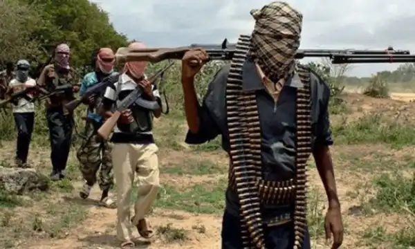 Bandits set community ablaze after killing several residents in Zamfara