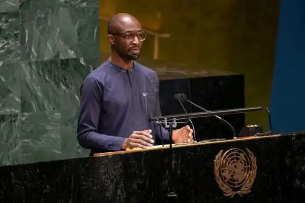 2023:breakup Only Solution To Nigeria’s Problems– Okonjo-iweala’s Son, Uzodinma