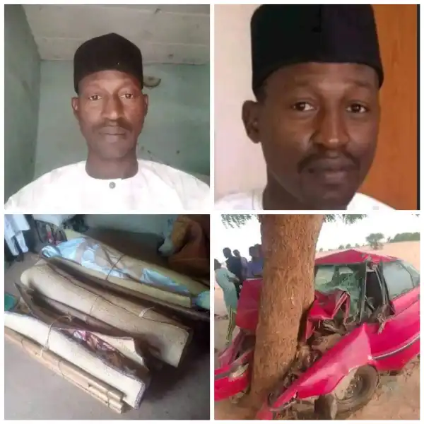 Bauchi Chief Accountant and his two sons die in road crash
