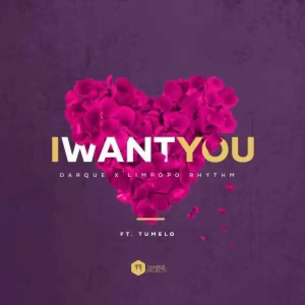 Darque & Limpopo Rhythm – I Want You Ft. Tumelo