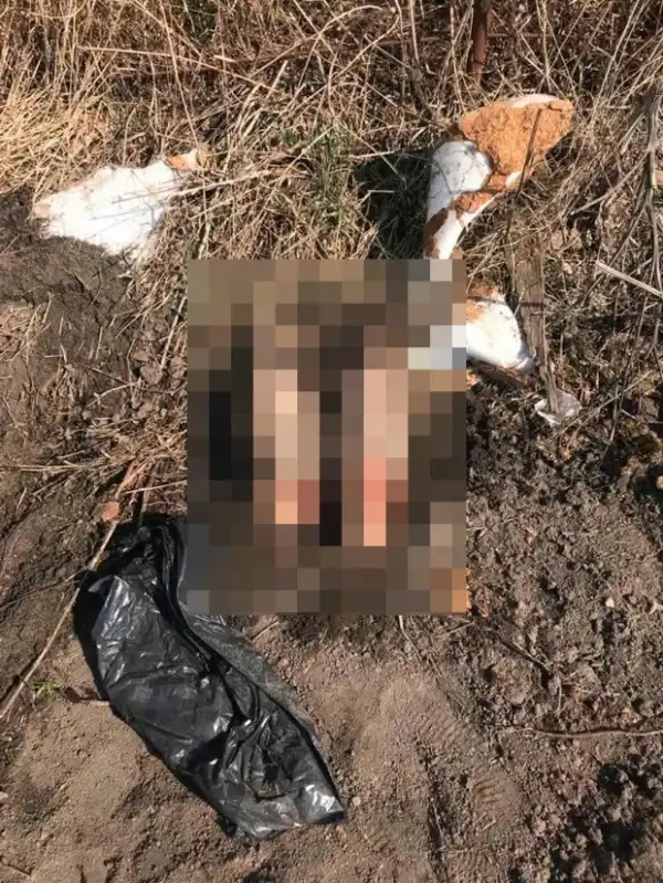 Police Arrests Cannibal Pensioner After The P3nis Of A Missing Man Was Found In His Garden