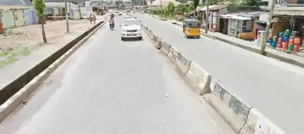 Lagos Church Dogs Stray, Bite Passerby To Death