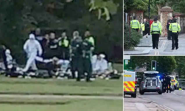 Three killed, several others injured after man goes on stabbing spree in British Town
