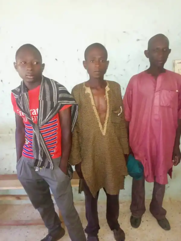 Police Storm Kidnappers’ Den In Bauchi, Rescue 16 Victims
