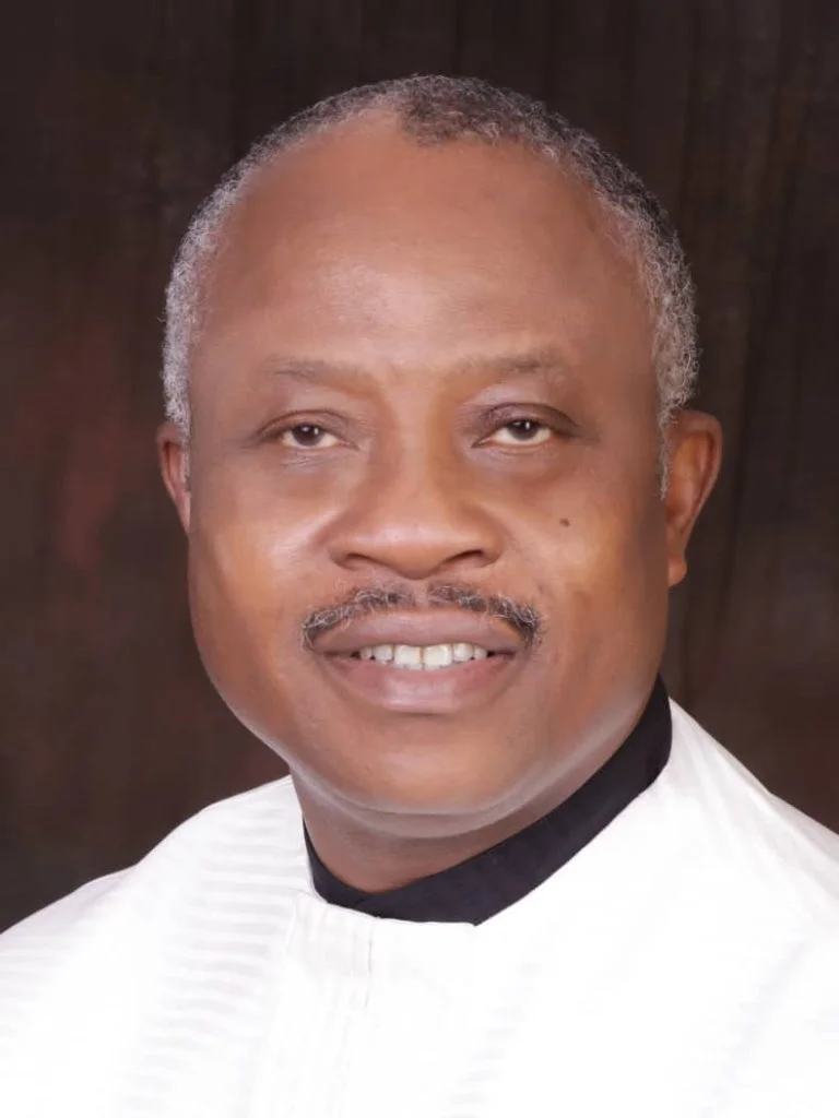 2023: Reasons behind cases against Abia APC – Guber candidate Emenike