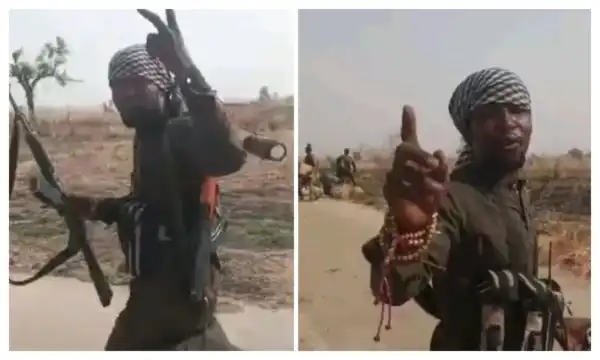 Killing of bandit leader Alti triggers reprisals in Zamfara–Katsina forests