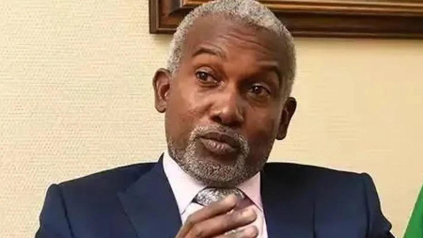 Bauchi governor tried to slap me in public, not his deputy – Tuggar clarifies face-off