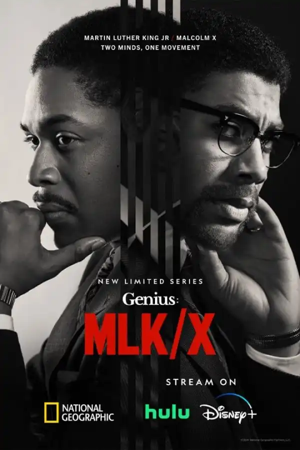Genius (TV series)