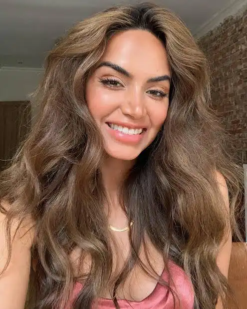 Age & Career Of Diipa Büller-Khosla