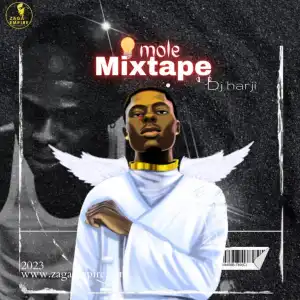 ZagaEmpire X WF DJ Harji – AfroPiano Mixtape