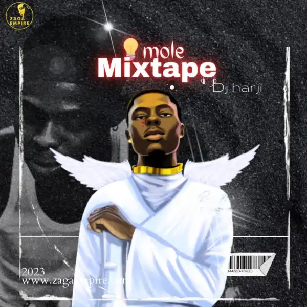 ZagaEmpire X WF DJ Harji – AfroPiano Mixtape