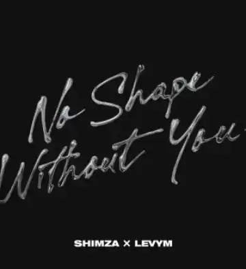 Shimza – No Shape Without You Ft. LevyM