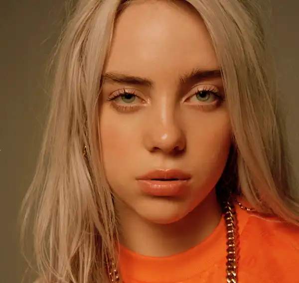 Billie Eilish gets 5 year restraining order against invader who broke into her childhood home