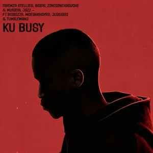 Tshimza Stellies – Ku Busy ft Boips, ZinedinexSguche. Musical Jazz, BoiBizza, Mdeshkayro, Jussgigi & Tumilemang