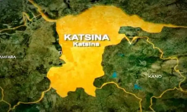 Repentant bandits emerge from forest to attend coronation of Batsari district head in Katsina