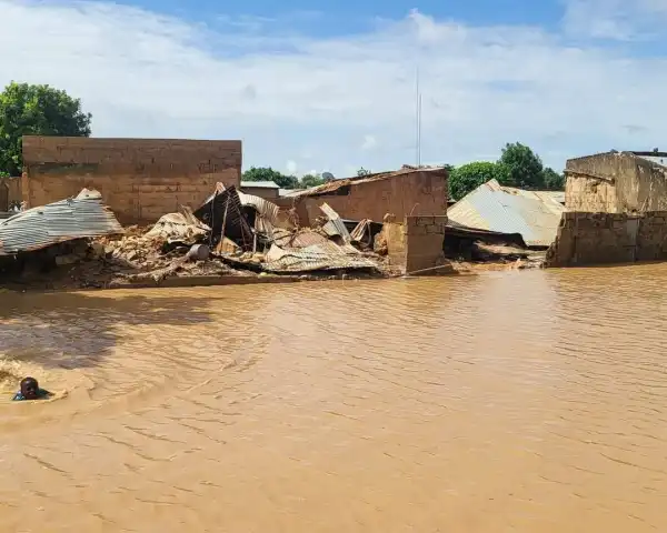 Flood sacks hundreds, submerges residential areas in Yobe
