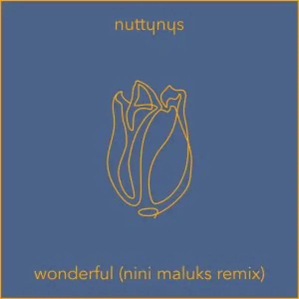 Nutty Nys – Wonderful (Nini Maluks Remix)