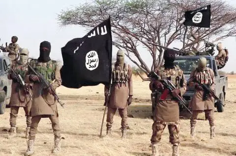 Adamawa: Boko Haram hit Hong again, destroy facilities, hoist flags
