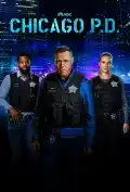 Chicago PD Season 11