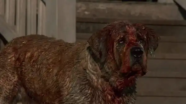 Cujo Netflix Movie Announced Based on Stephen King’s Thriller Novel