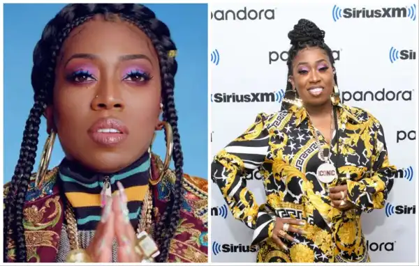 Career & Net Worth Of Missy Elliott