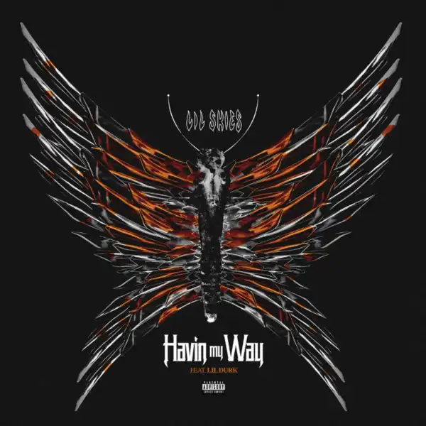 Lil Skies Ft. Lil Durk - Havin My Way